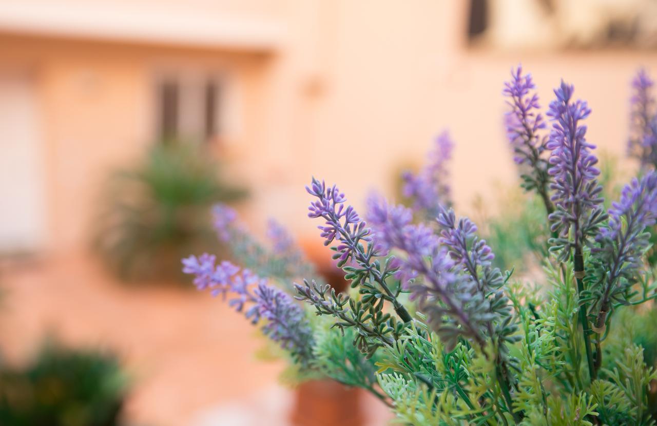 Il Cortile Delle Esperidi Apartment Lecce Luaran gambar